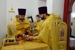 DSC_0096 (Копировать)