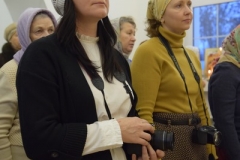 DSC_0113 (Копировать)_2017_12_31_14_20_20_1427889936