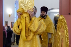 DSC_0227 (Копировать)