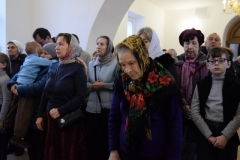 DSC_0354 (Копировать)