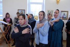 DSC_0409 (Копировать)