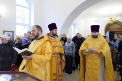 DSC_0437 (Копировать)