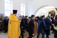 DSC_0490 (Копировать)