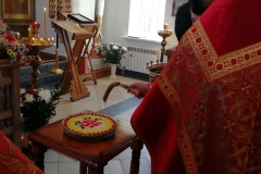 sdr