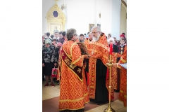 izbanitelnitsa-ot-bed-2019-08