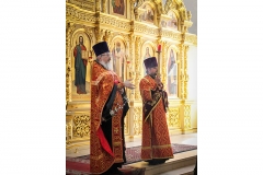 izbanitelnitsa-ot-bed-2019-17