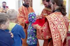 IMG-64fd23744e54b28f0f1c360ef2a62c1a-V