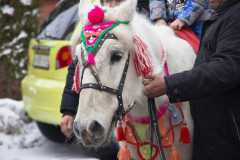maslenitsa-2020-23