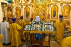 IMG_0050_2020_12_6_18_15_54_406553765