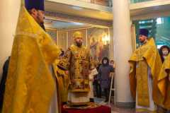 IMG_0118_2020_12_6_18_15_56_1095666488