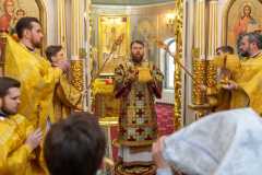 IMG_0385_2020_12_6_18_16_18_1740568909