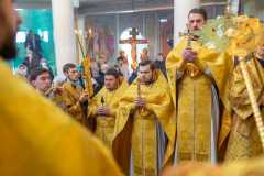 IMG_0395_2020_12_6_18_16_19_1531213788