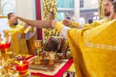 IMG_0521_2020_12_6_18_16_24_1891004390