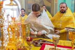 IMG_0622_2020_12_6_18_16_25_434047464