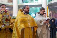 IMG_0743_2020_12_6_18_16_31_1428350809