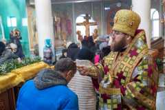 IMG_0855_2020_12_6_18_16_32_1650757255