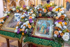 IMG_3351_2021_10_24_15_10_17_1852041824