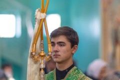 IMG_3421