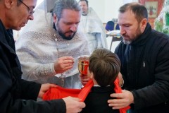 PIA_6829_новый-размер