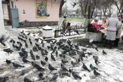 IMG_20221116_111958